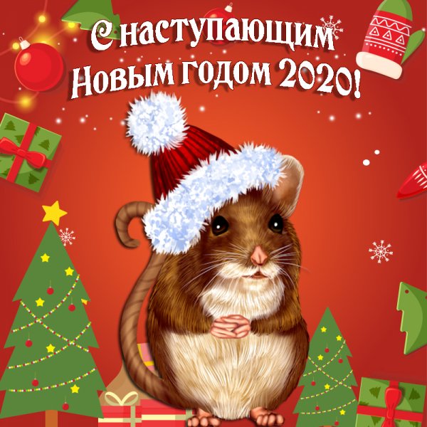 Поздравления с Новым годом Крысы 2020